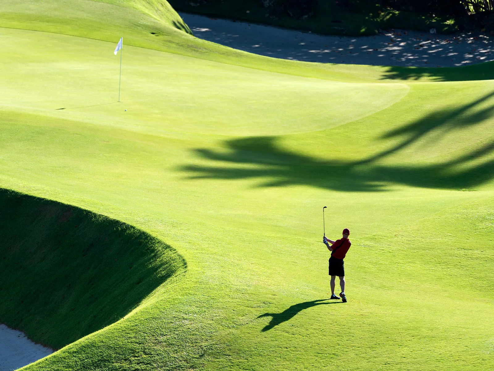Golf Gate 2: amenity, photo 10 of 12