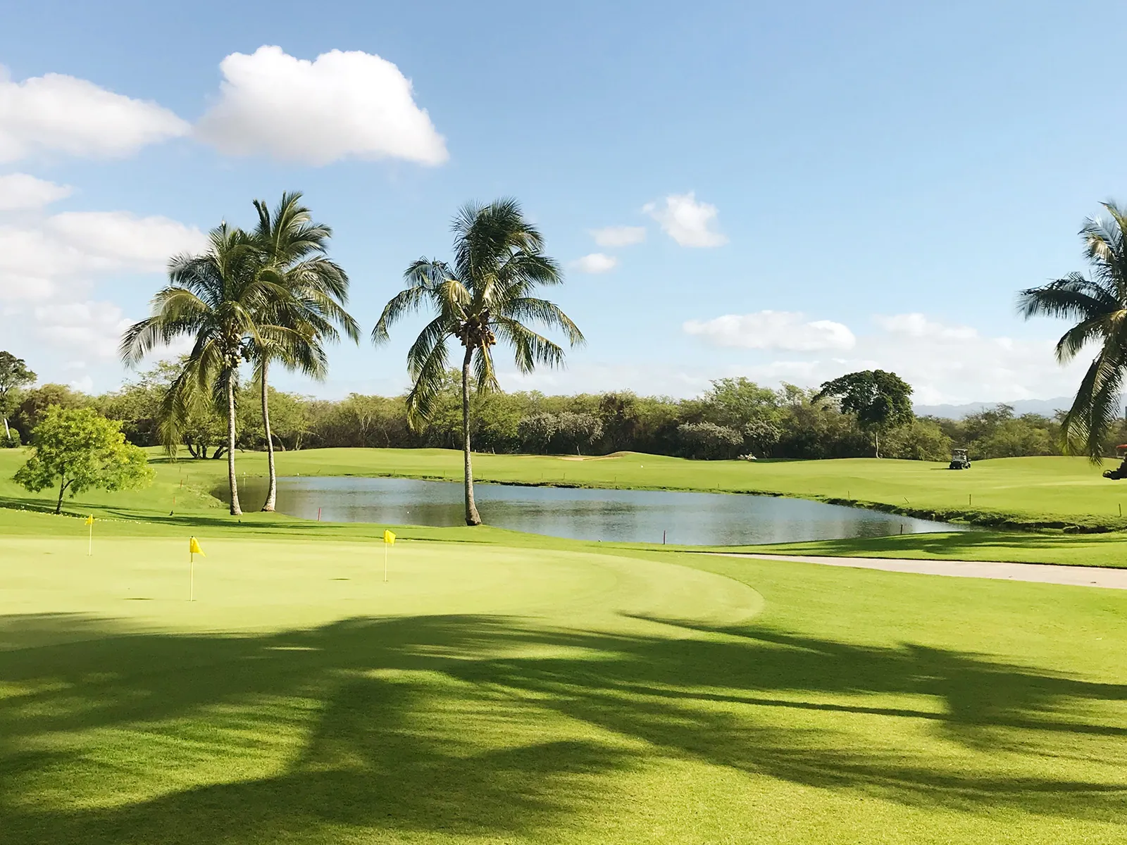 Golf Gate 2: amenity, photo 11 of 12