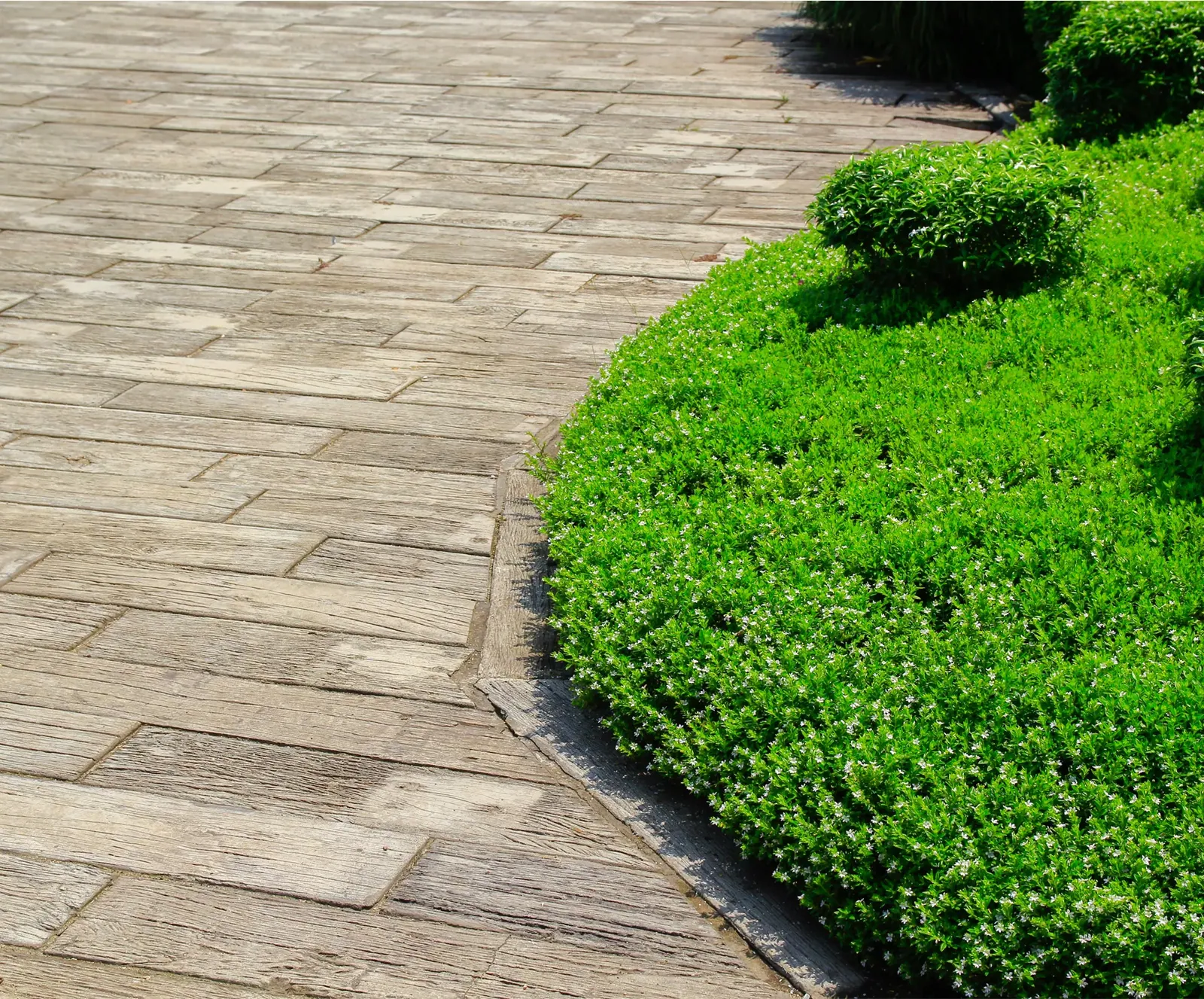 Verdana Residence 2: amenity, photo 12 of 12